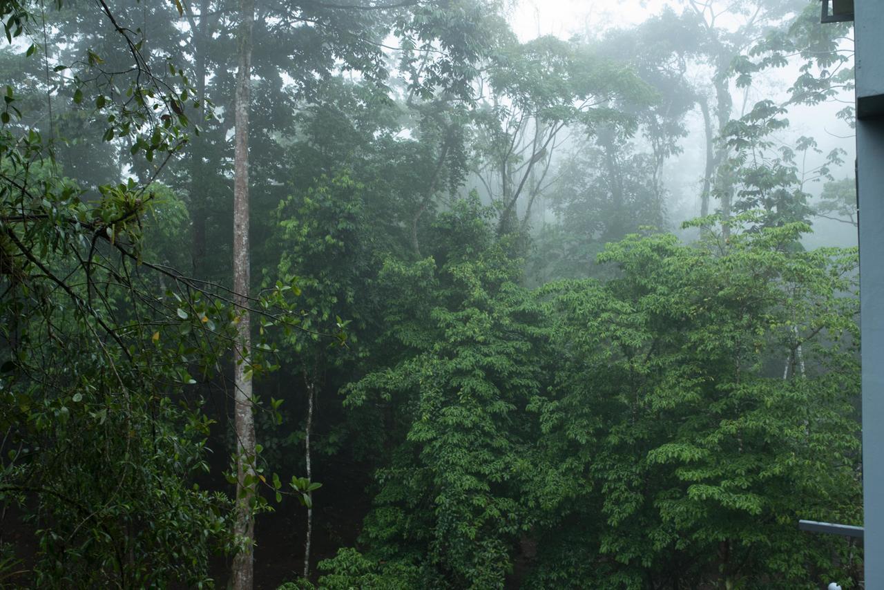 Volcano Gold Loft La Fortuna Ngoại thất bức ảnh