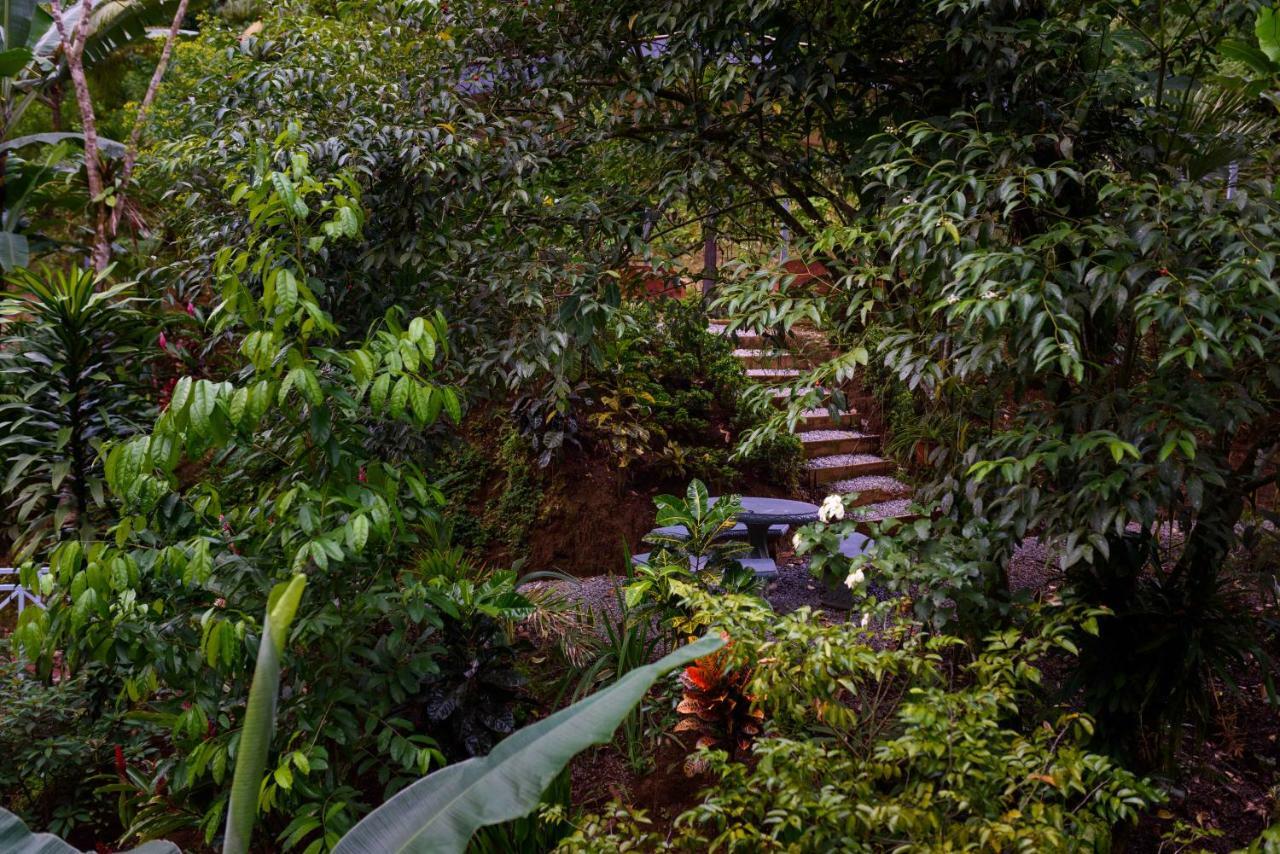 Volcano Gold Loft La Fortuna Ngoại thất bức ảnh