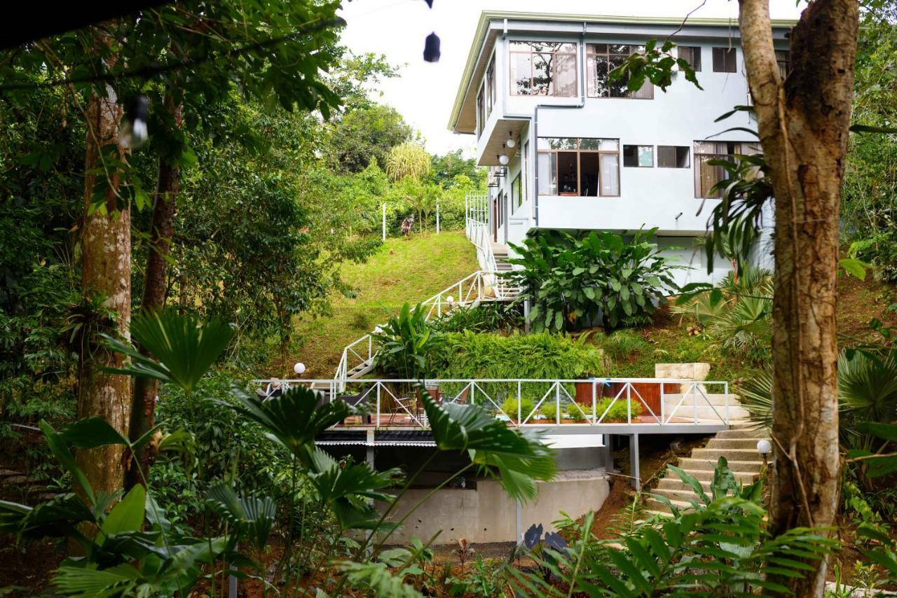 Volcano Gold Loft La Fortuna Ngoại thất bức ảnh