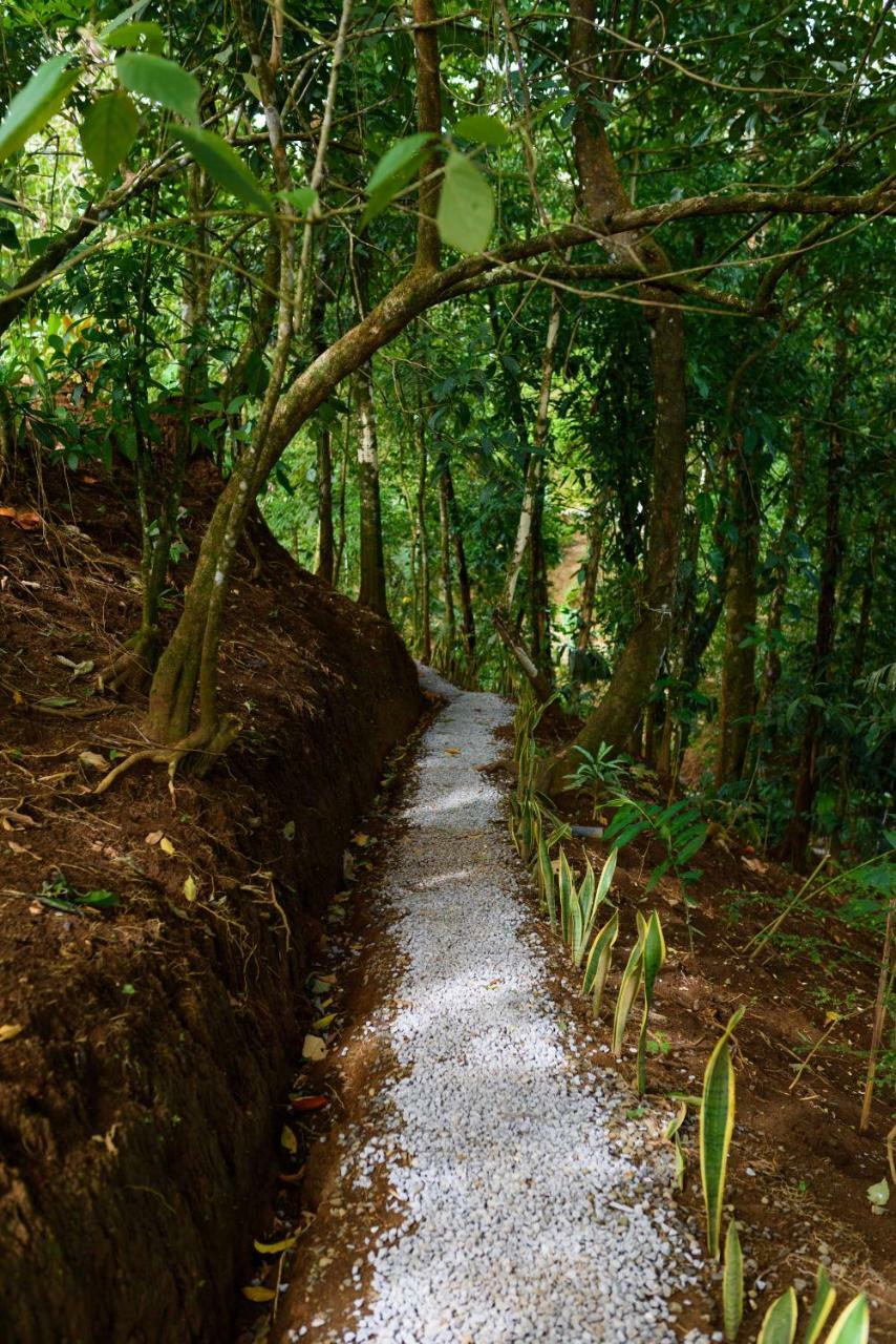 Volcano Gold Loft La Fortuna Ngoại thất bức ảnh