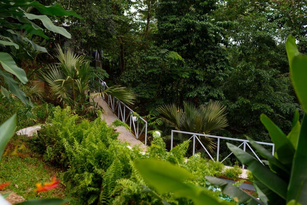 Volcano Gold Loft La Fortuna Ngoại thất bức ảnh
