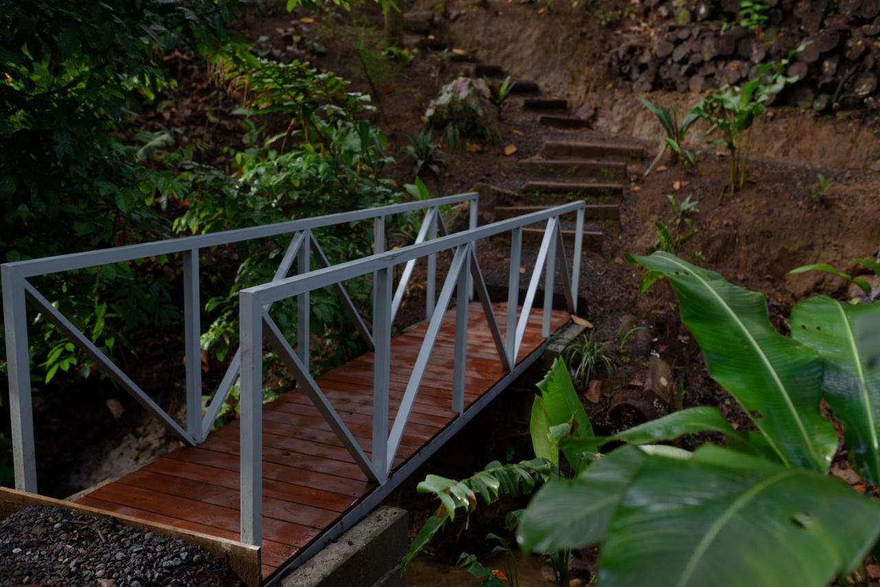 Volcano Gold Loft La Fortuna Ngoại thất bức ảnh