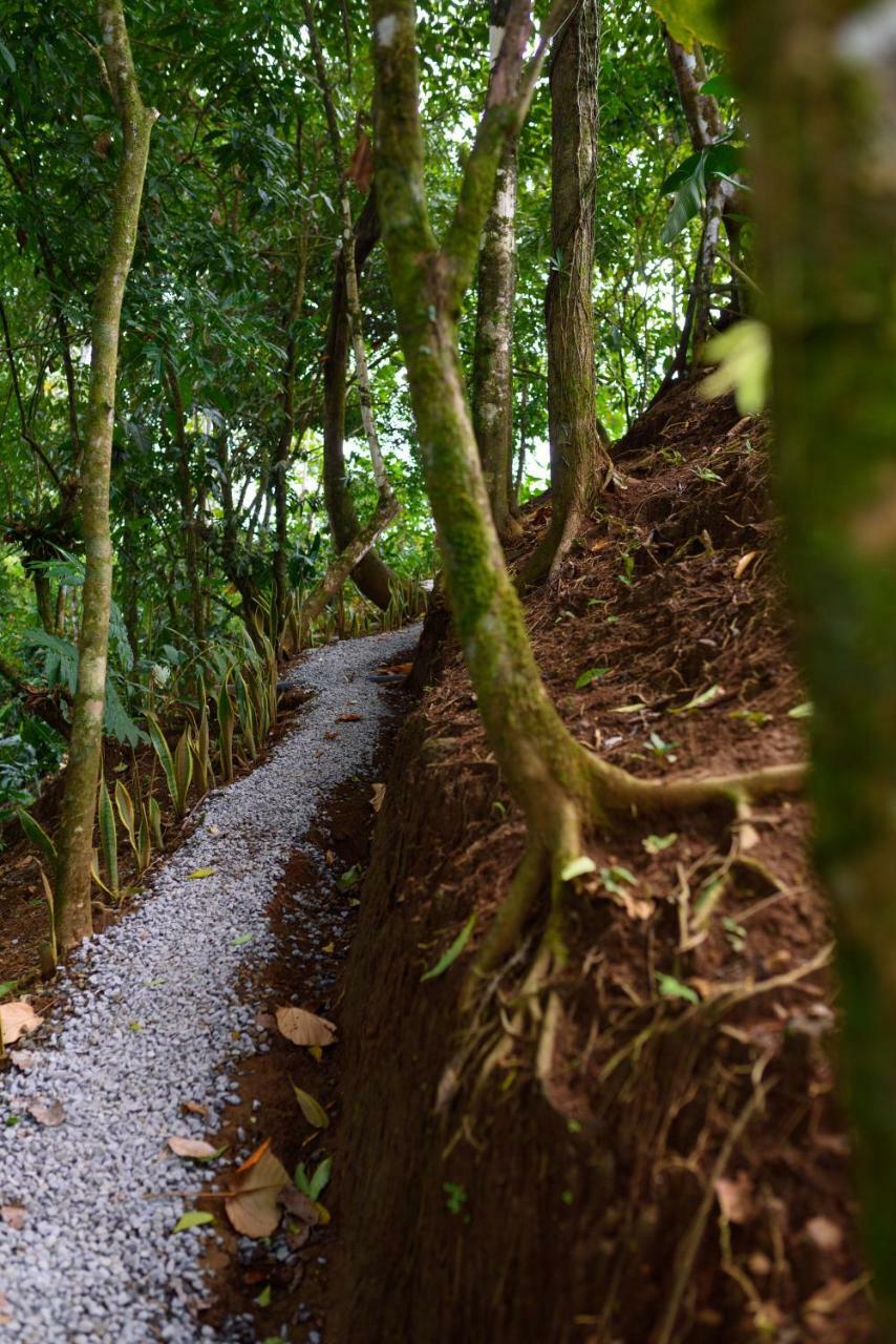 Volcano Gold Loft La Fortuna Ngoại thất bức ảnh