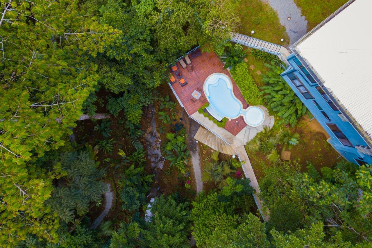 Volcano Gold Loft La Fortuna Ngoại thất bức ảnh